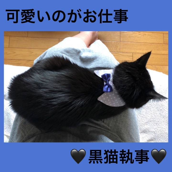 1959ba6a c822 4fe6 a224 98c67002ff4a 1572819545485