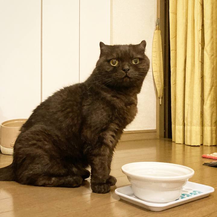 1959bb2a 6583 484a a0a0 41e14d2002f3 1632663928081