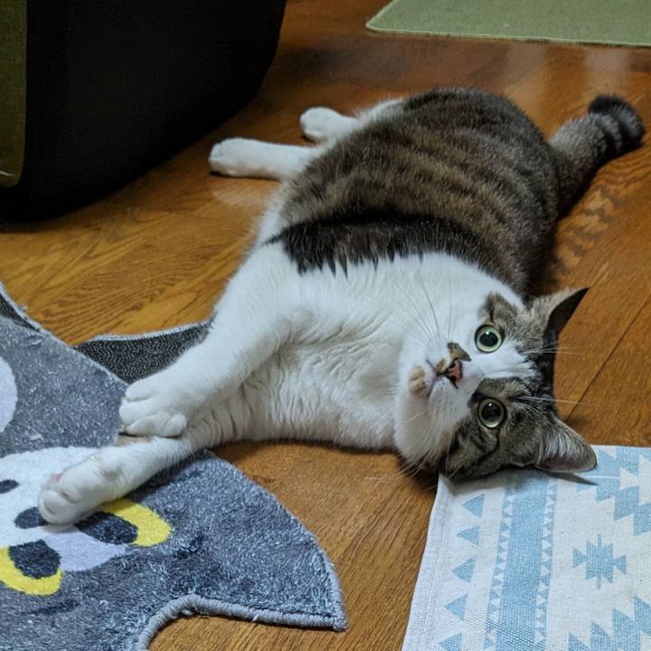 1959c14d 114e 4670 b0a4 a66f558cd6ee 1712928571605