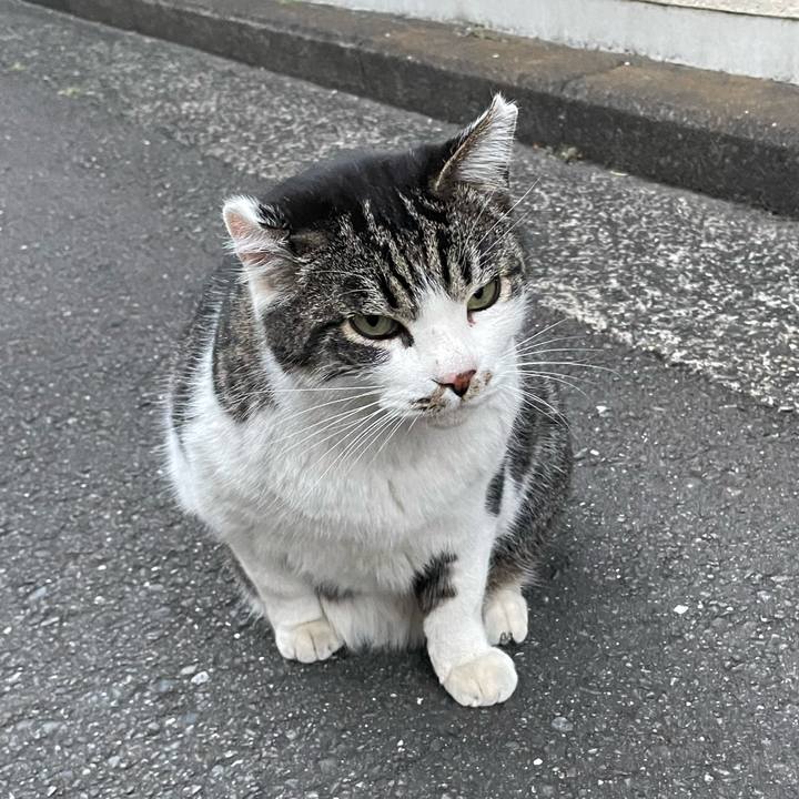 1959f106 bb28 4fc0 8b05 ba3ca693516f 1643360737718