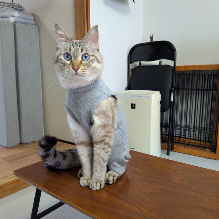 195a00bf f4ff 4983 8c1a cbfa811f9787 1746863379551