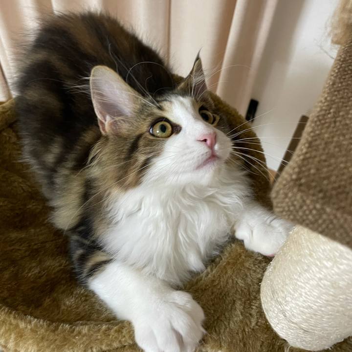 195a2b6d b1b4 4534 9cd6 f9ddb7a5de1e 1635155105502