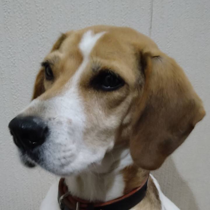 195a3232 1f59 47c2 a4ef 5ba18105caf2 1637902739278