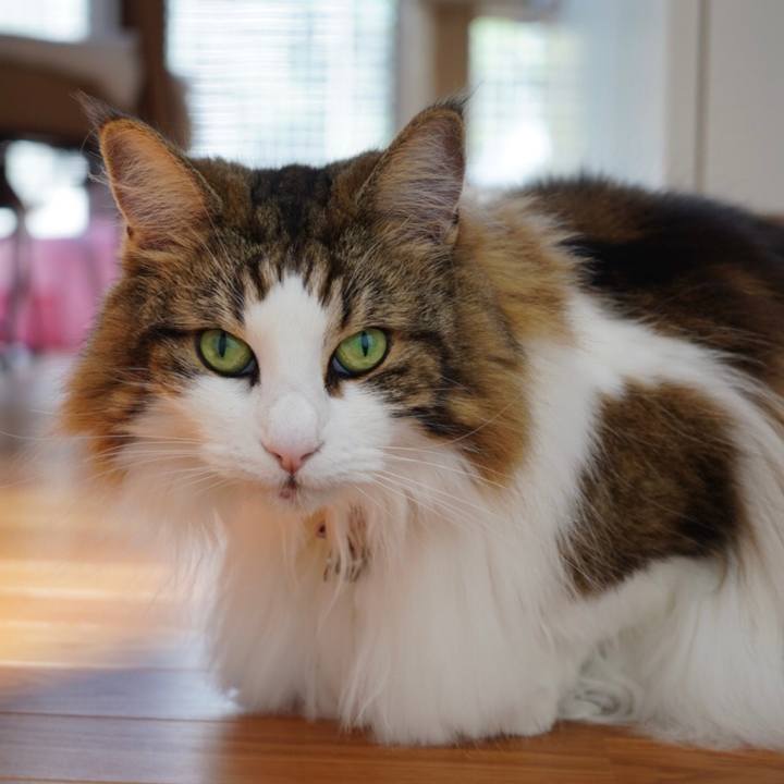 195a592e 733a 43c0 a11b 0751bdeb8ba6 1658996291072