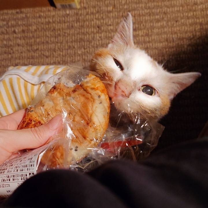 195a6187 5417 4f1f 995f 873f109fb5e3 1760177595887