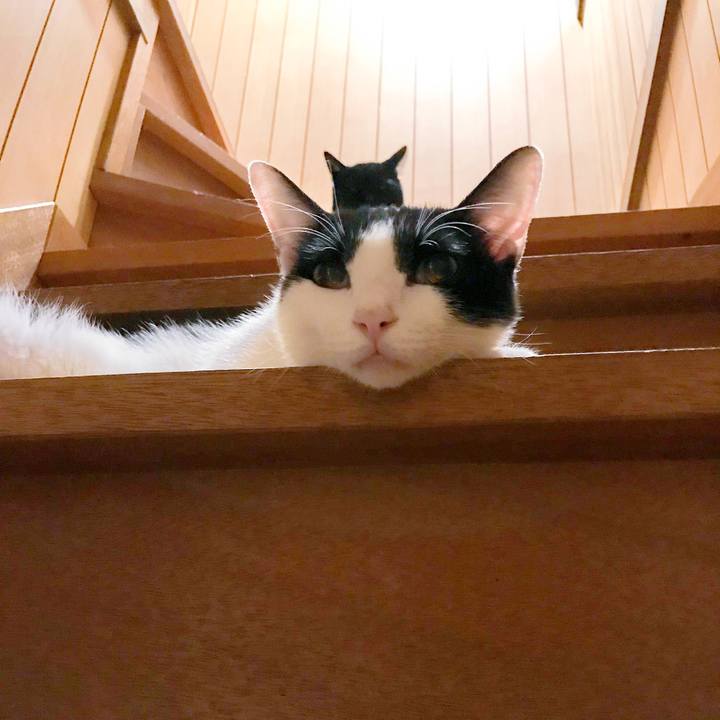 195a8afe f8d9 4ba8 81eb 2d067a576395 1507686339668