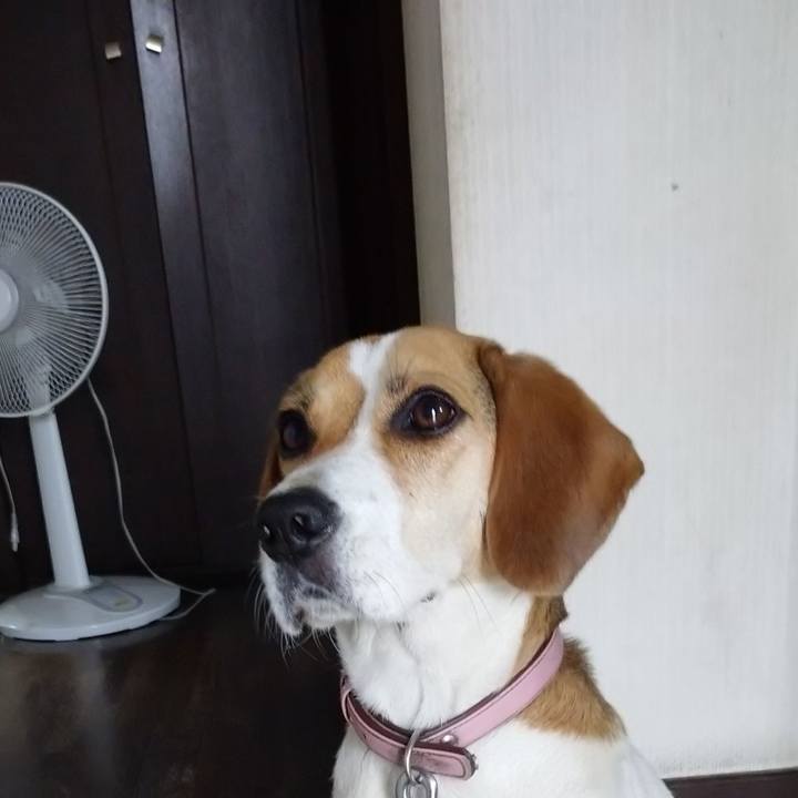 195adae5 5258 4eb0 bf3a 497866913ff7 1596962107261