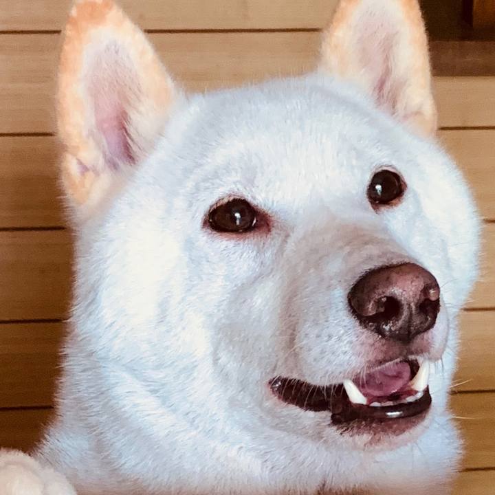 195b2c74 aa88 4847 a173 e3f960fe4410 1568612503988