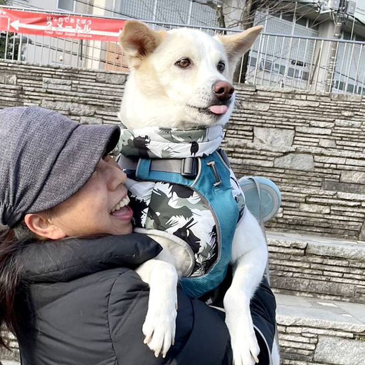 195b33af 81b7 461a 8801 f2d3f4fba8c1 1675734833254