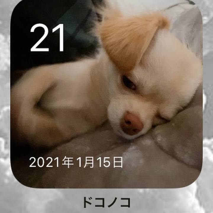 195b3e47 46c5 47e4 ba7b e4910a61d9d6 1642745683583