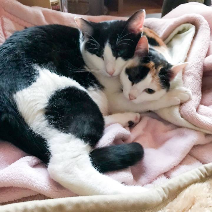 195b7454 b90f 41ee be1d cad885916705 1520864992127