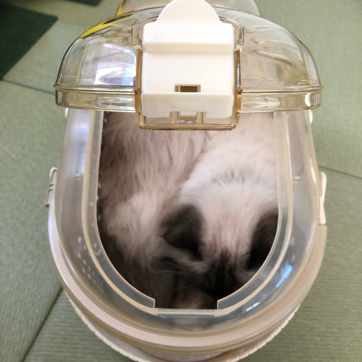 195b9035 ef8c 4095 b865 65627bd51086 1581169094522