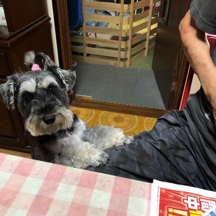 195ba970 6072 44a7 bdbe e09c7c3c08e6 1663910821470