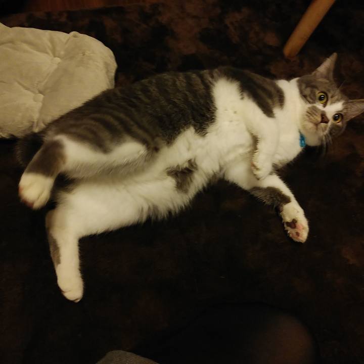 195ba973 dcc5 45a4 91ea 911d52577135 1582811408186