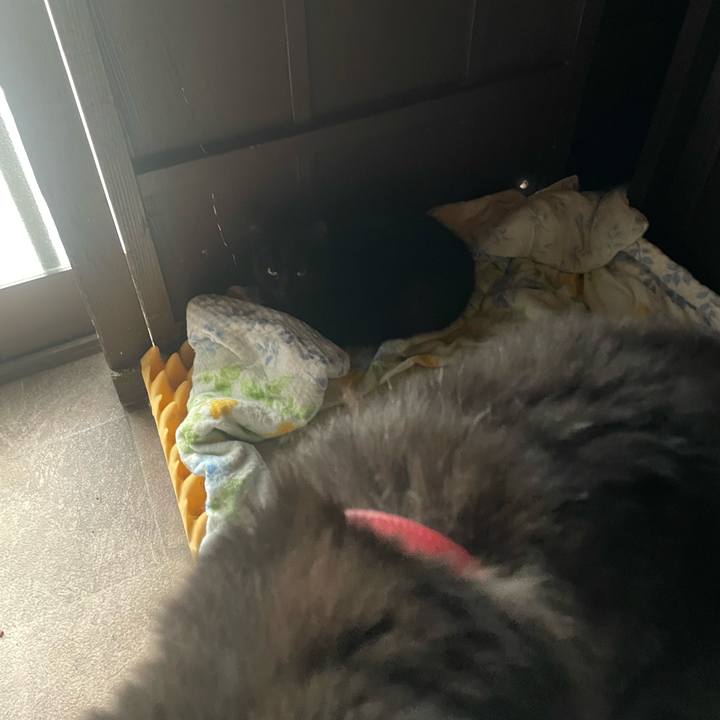 195c0cfe 4333 4c0a 84e1 97cbe53144ec 1773026874759