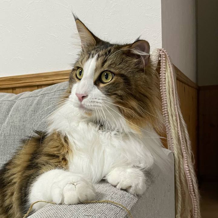 195c1716 8e74 45c4 a448 df3ffcfcad3d 1669464069334