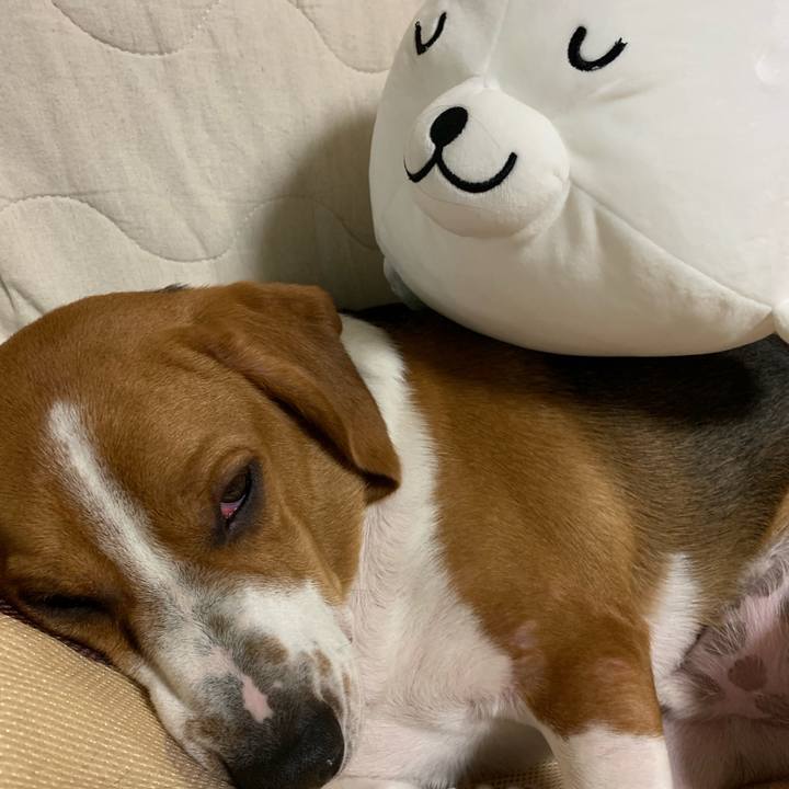 195c299f 273f 42e4 aaa4 c6f1be02f68e 1559138488418