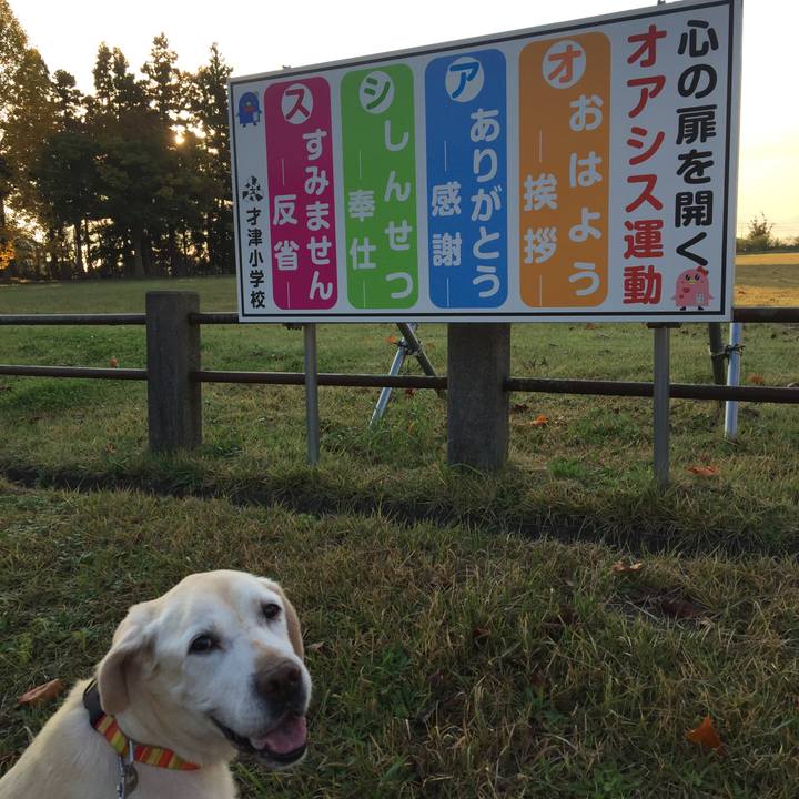 195c6aef 4aa5 4988 a998 6f58123e775b 1509062189107