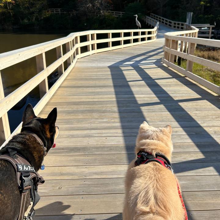 195c6c70 c5ff 4e18 bda1 feba794fafe9 1732979717508