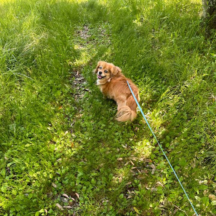 195c7283 a922 48b8 b4ee 03ca24994b49 1715993468002