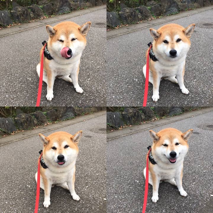 195c901b ccc4 4799 a41d 15ed51edf836 1602470999242