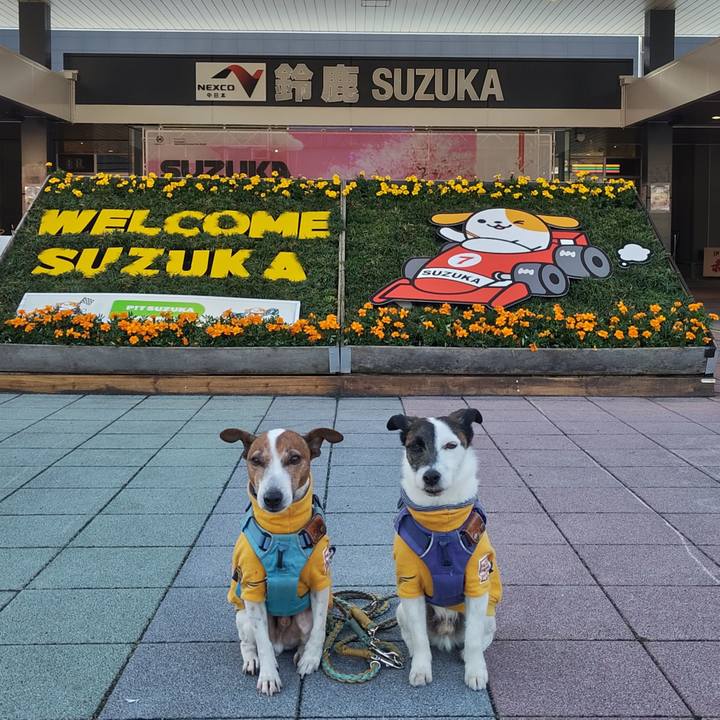 195c930c e415 4cd1 9af3 cdd3486ead6c 1742594910549