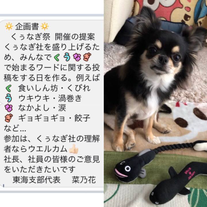 195ca6d8 76cf 43c7 b616 b88179011968 1565844074064