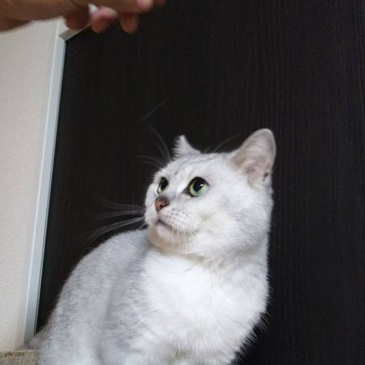 195cff34 4055 4652 b327 daee82c08b0b 1512702602308