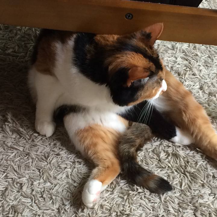 195d38ca a3ca 4729 8340 2549cc2dbd63 1528547188142