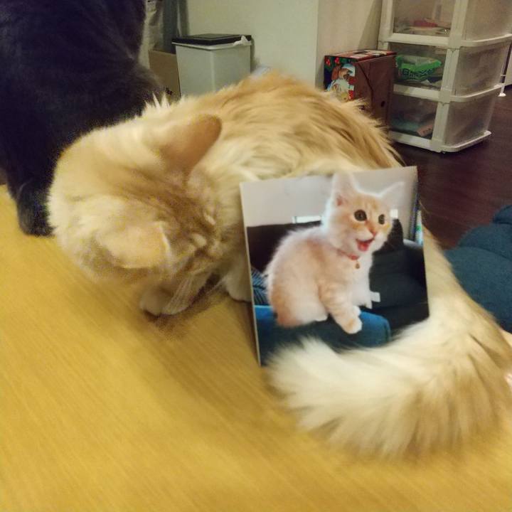 195d3d42 62db 401c 80c8 8ee3a2109826 1612268904277