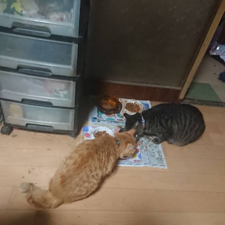 195d5852 bcf4 4c73 9670 df73c6ab6bed 1660949998678