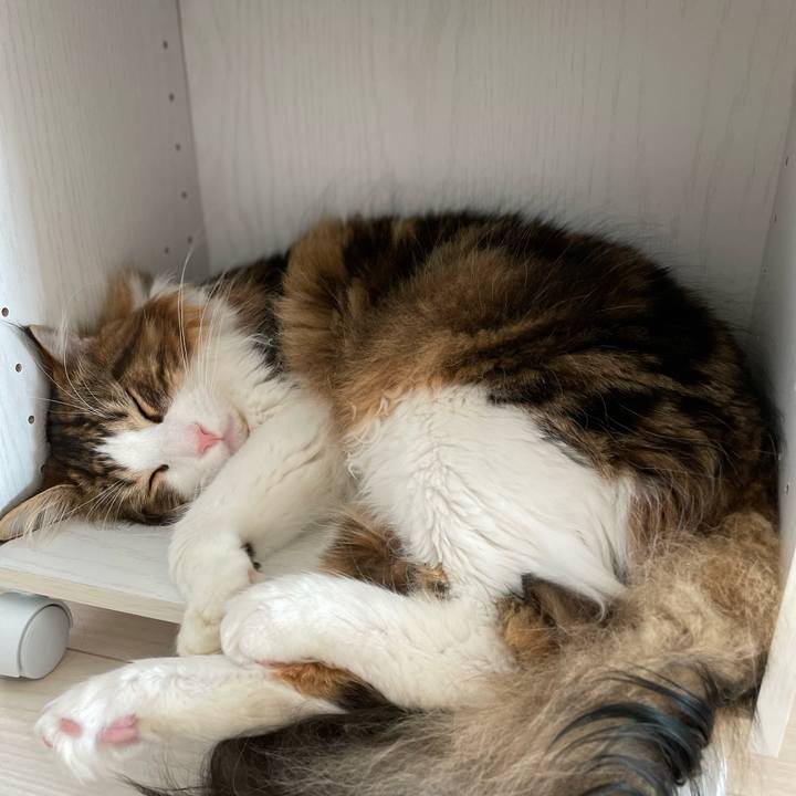 195d6f39 f872 491c 977b f4ac53ead7f3 1651637949254