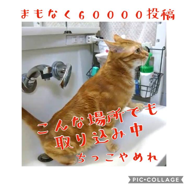 195d9d84 fe38 4ad4 a256 0abf6a5e97c5 1578483662330