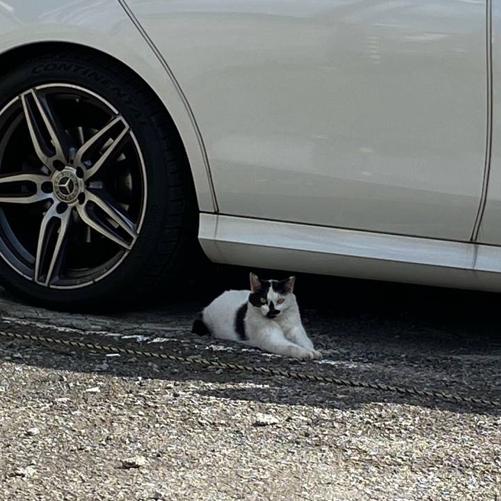 195da01a 1a98 4084 acfe 5a5f7d3f648a 1662817203418