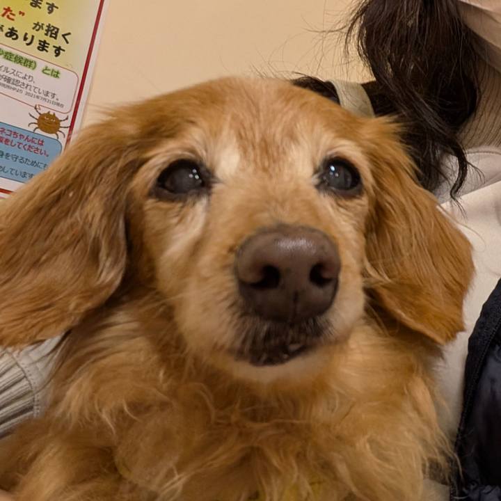 195df274 8971 4e18 abc1 abbc798670e4 1772452004248