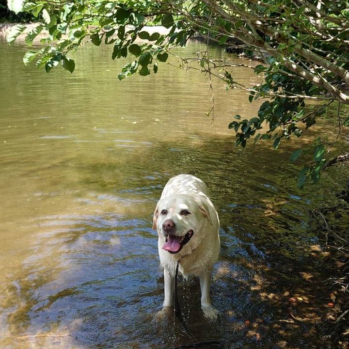 195e0280 6f4a 4521 8c03 7c71820b78dc 1755661793481