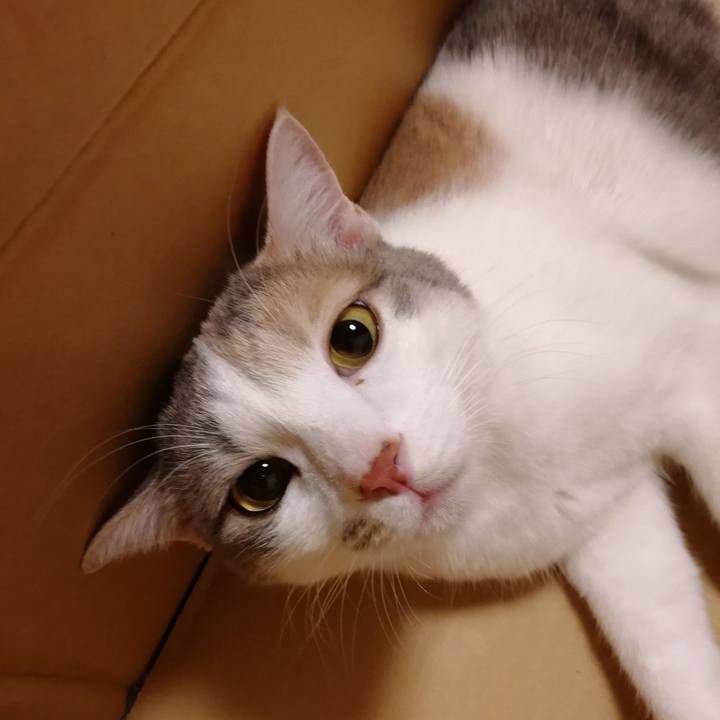 195e03a9 9784 4e39 baaa 091274ac6ea9 1522402471412