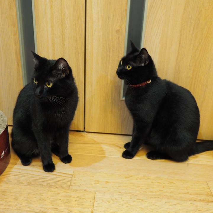 195e36c2 08aa 48a0 9d88 6f11c6d5feb6 1534203399820