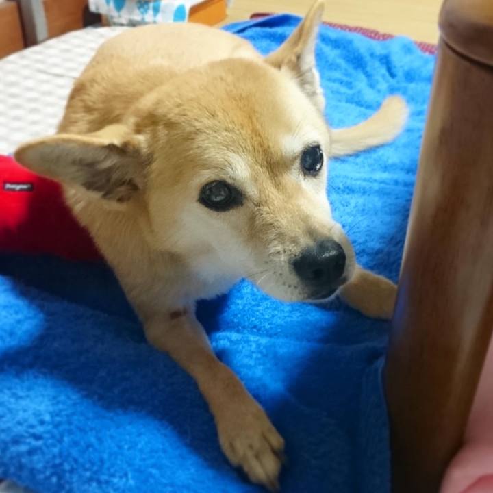 195e4115 333f 43f6 8117 306217119934 1597836506928