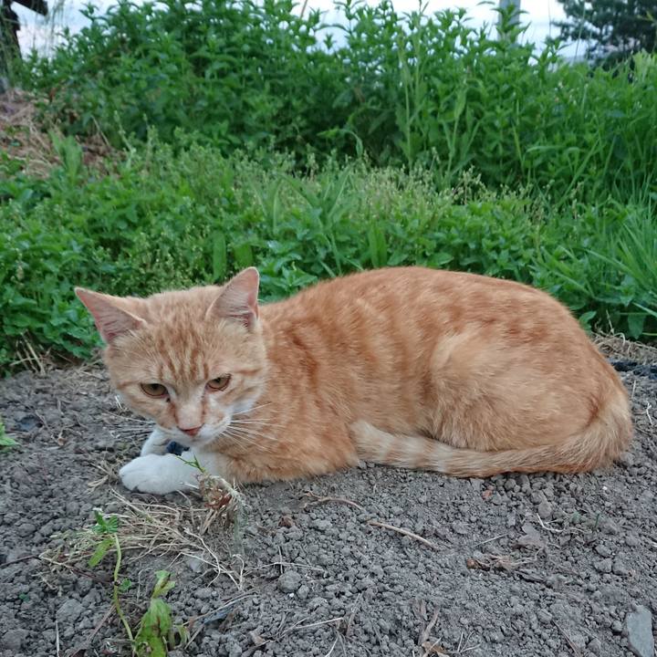 195e4593 04e3 4a8b b58f 48485992fe4a 1559556282588