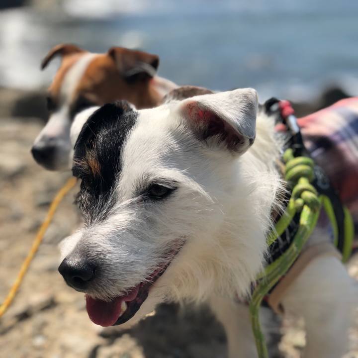 195e4fe2 7eee 44c8 964b 7bbcc3e052d5 1523280772155