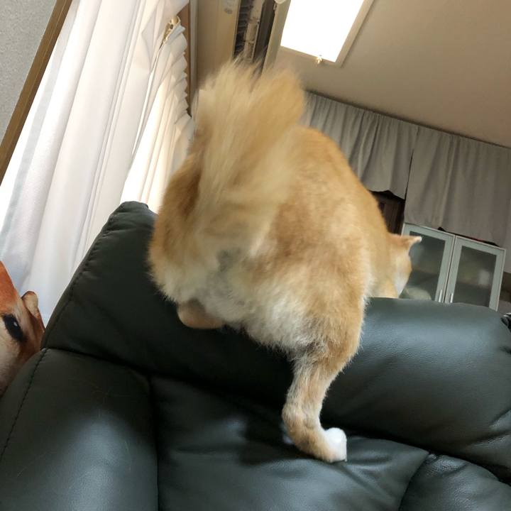 195e5a71 f0db 41e4 9799 9762fcc80e03 1578530687516