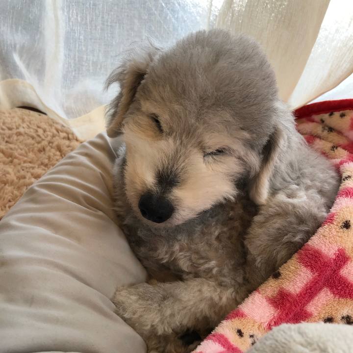 195e5b7e a4aa 40c2 b7ec 0f4f3a6379ac 1652142054807