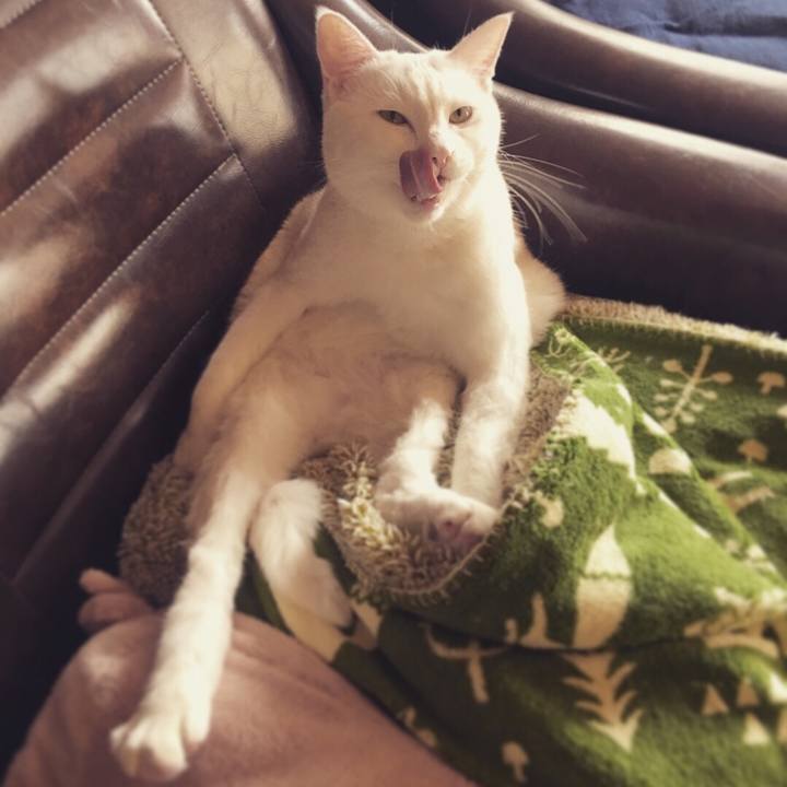 195e61d3 2da6 4c8d b4bd 6438d9d2b478 1513043172424