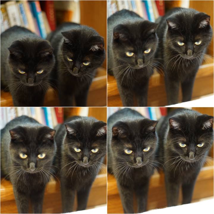 195e7a47 a61c 46f9 9a37 6ced142a2205 1530714435359