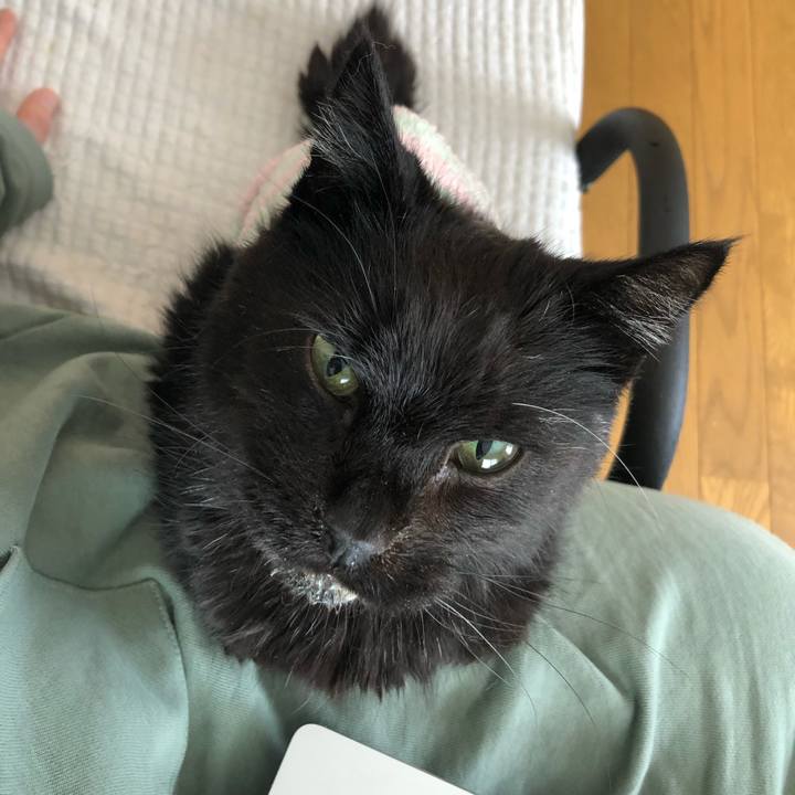 195e82f9 0aef 4bfb 9437 f79128bba4d4 1645923690095