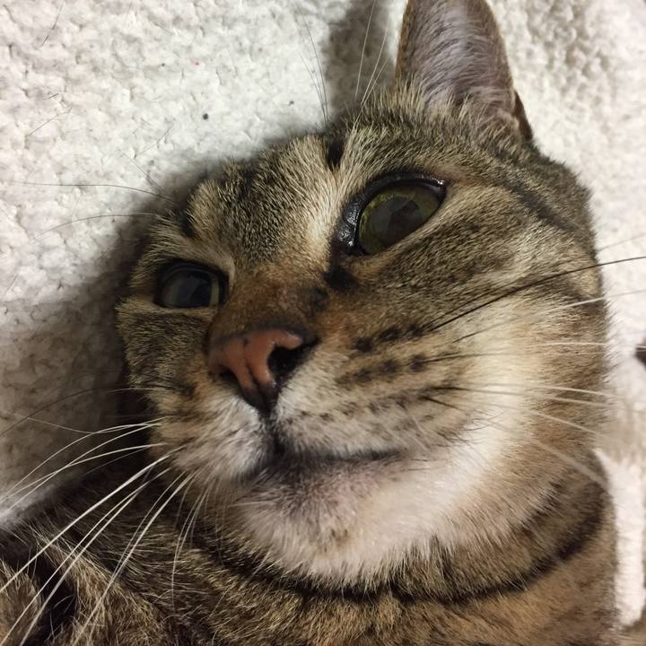 195e94e3 3a14 427c b764 a4f8d8c5d6ee 1522763090506