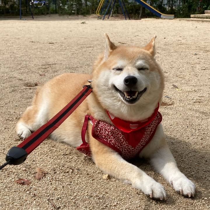 195ee7b8 b1ca 4891 9d80 1f647b4ba7b4 1653643192867