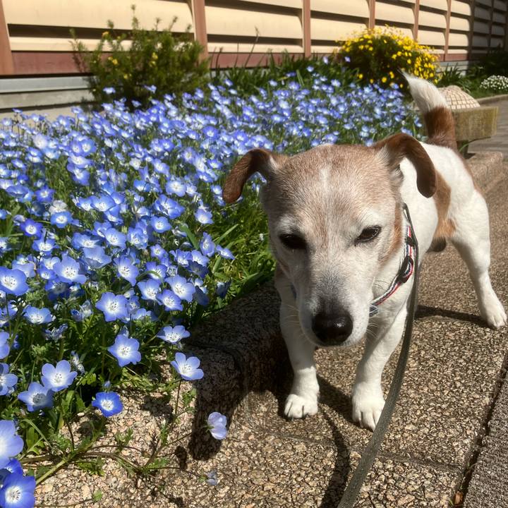 195f1a13 cb08 4bb7 a101 c97a618b31e9 1776722382958