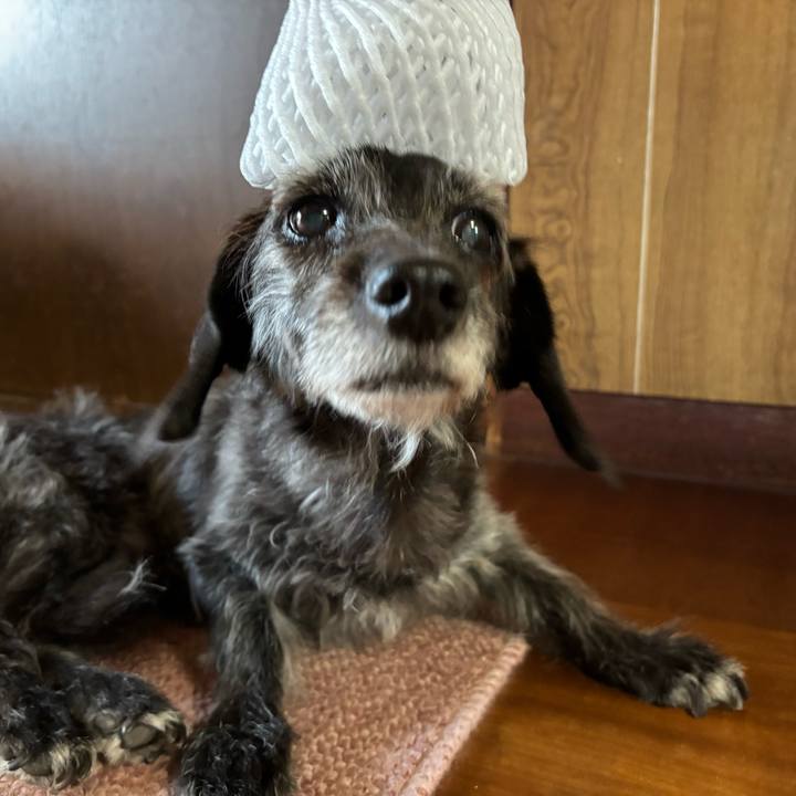 195f2261 f635 4420 8f8e 26467e75abc7 1757977764346